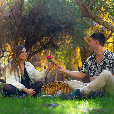 Aldea Del Valle - Elqui Villas, ピスコ・エルキ エクステリア 写真
