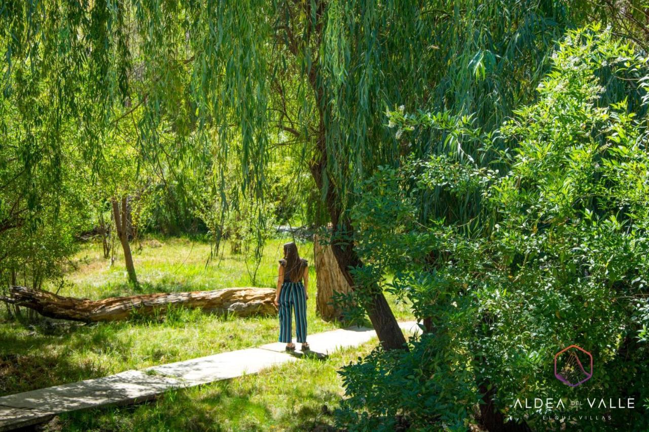 Aldea Del Valle - Elqui Villas, ピスコ・エルキ エクステリア 写真
