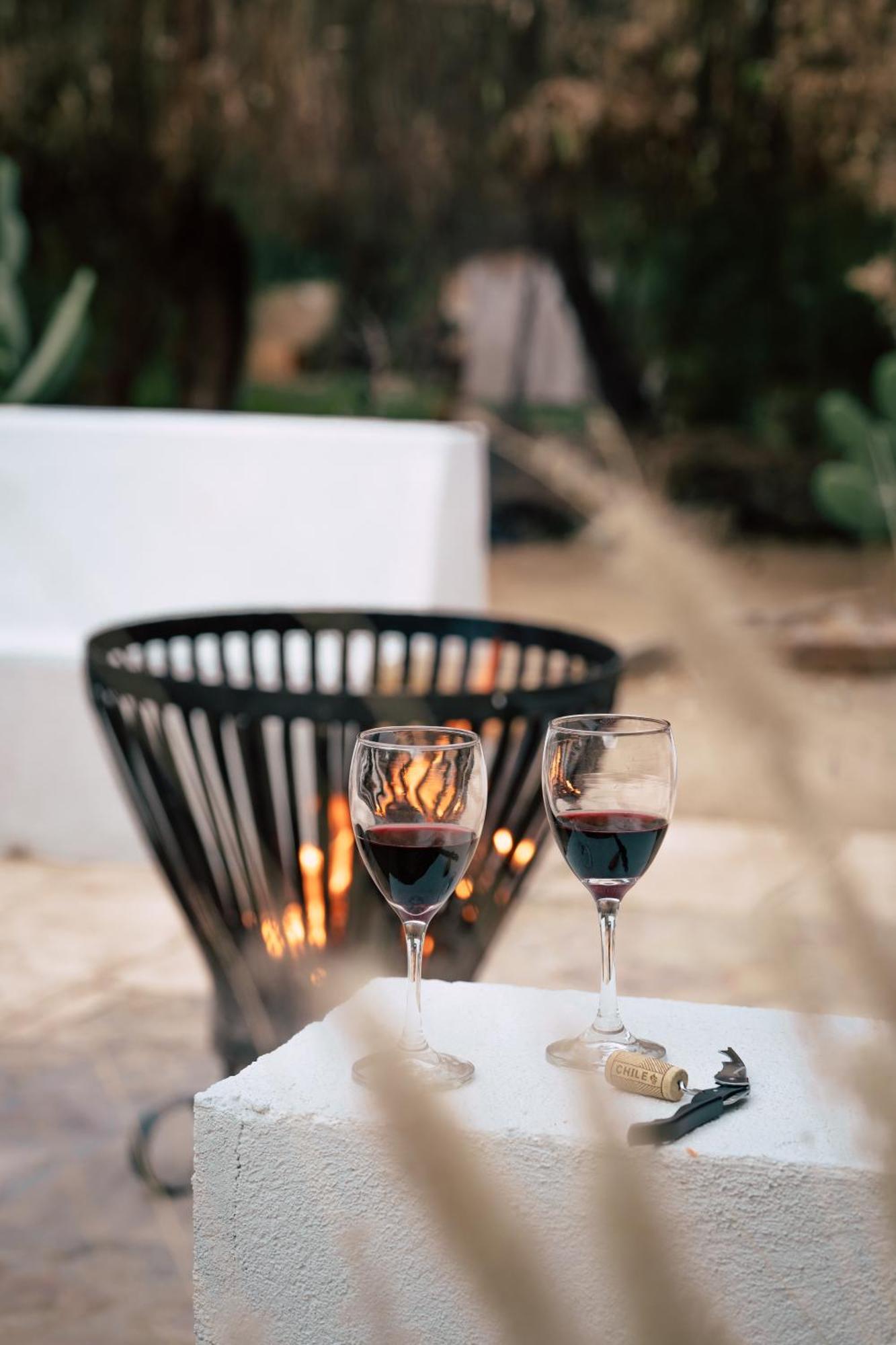 Aldea Del Valle - Elqui Villas, ピスコ・エルキ エクステリア 写真