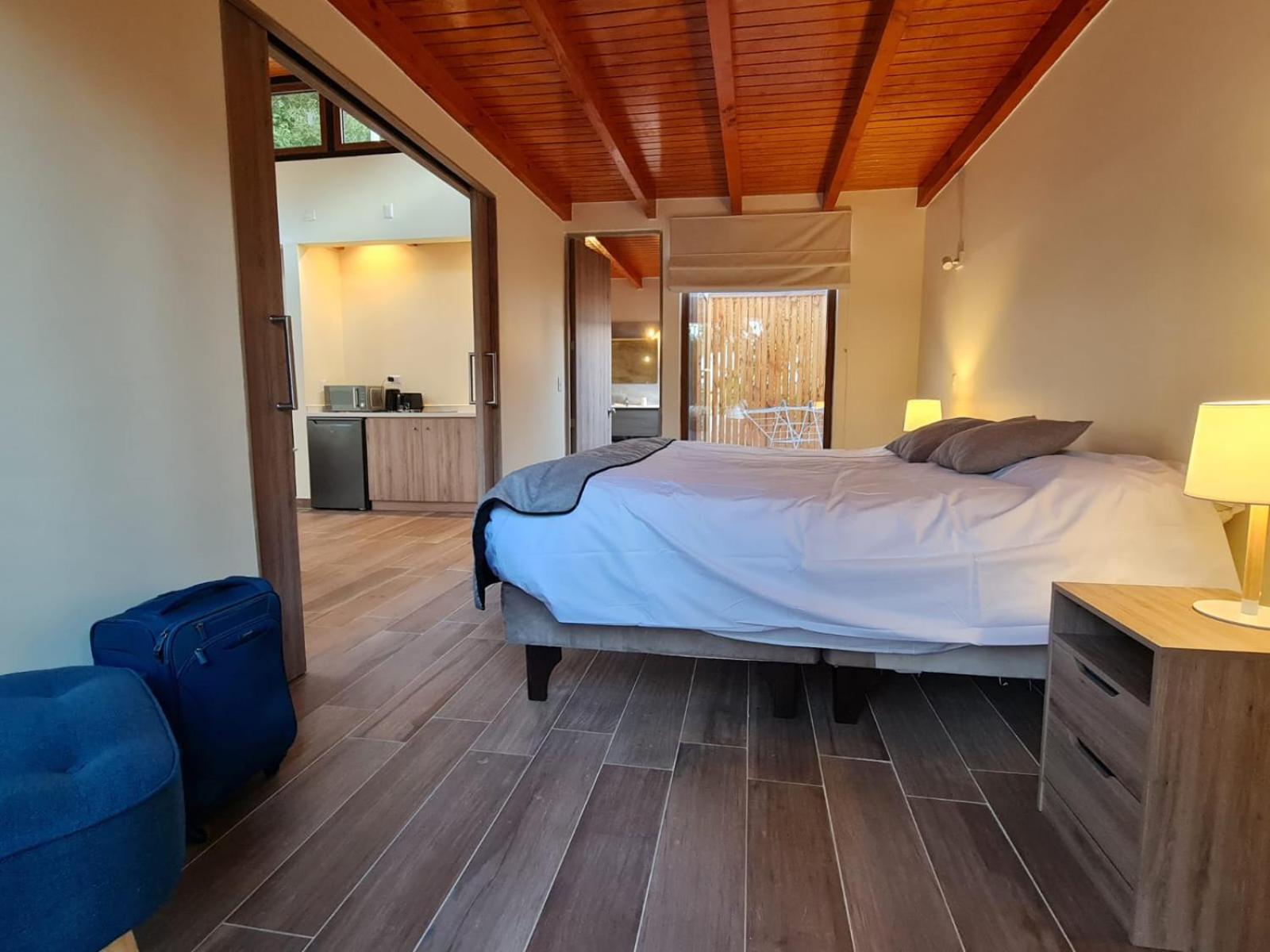 Aldea Del Valle - Elqui Villas, ピスコ・エルキ 部屋 写真