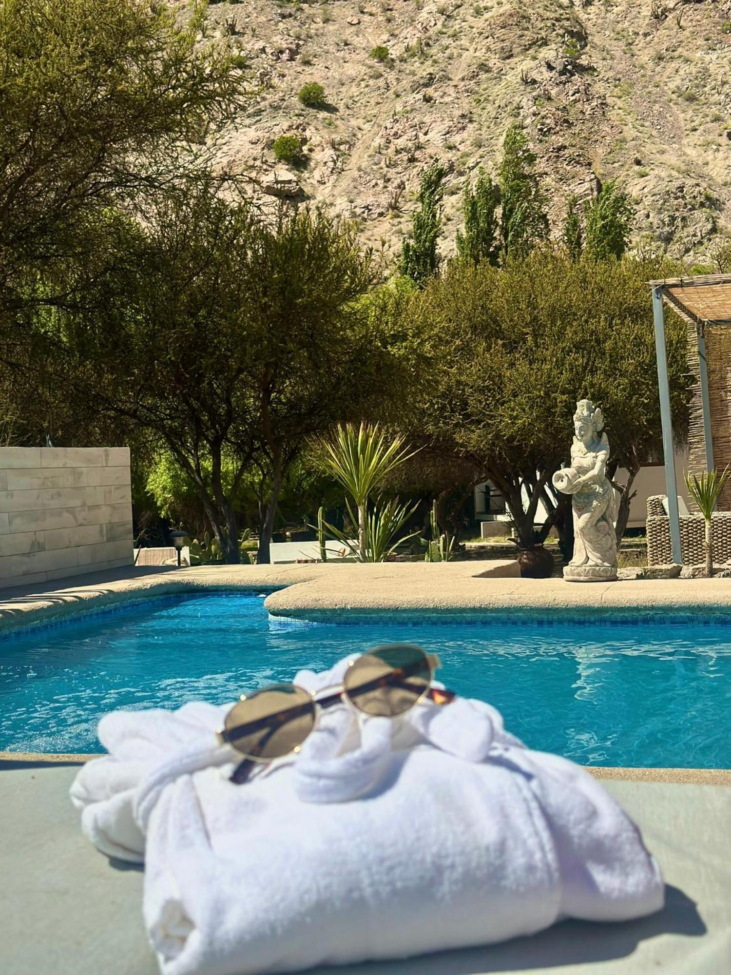 Aldea Del Valle - Elqui Villas, ピスコ・エルキ エクステリア 写真