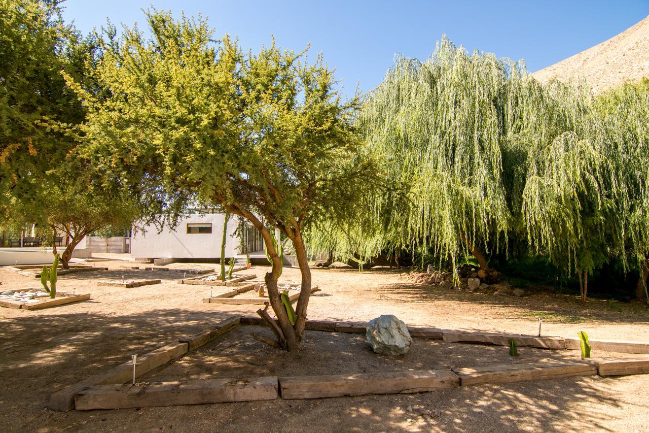 Aldea Del Valle - Elqui Villas, ピスコ・エルキ エクステリア 写真