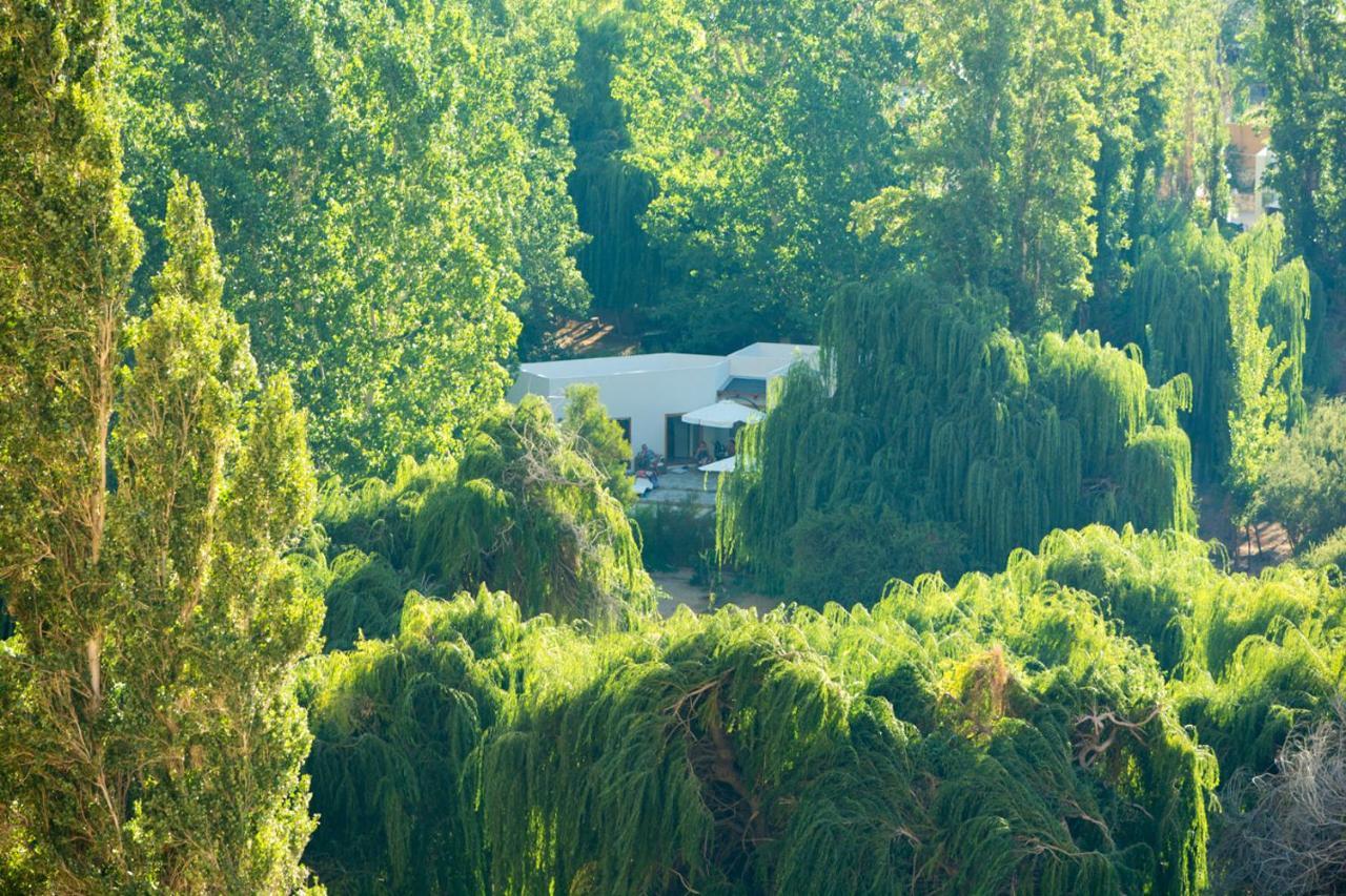 Aldea Del Valle - Elqui Villas, ピスコ・エルキ エクステリア 写真