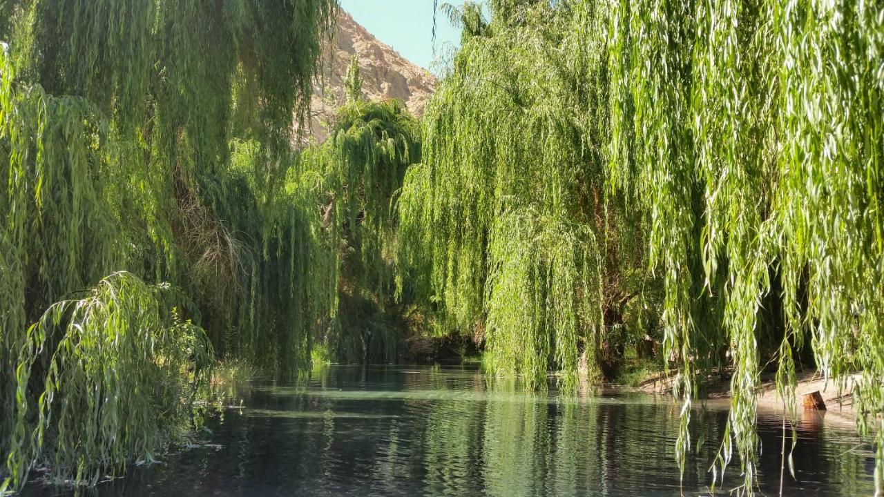 Aldea Del Valle - Elqui Villas, ピスコ・エルキ エクステリア 写真